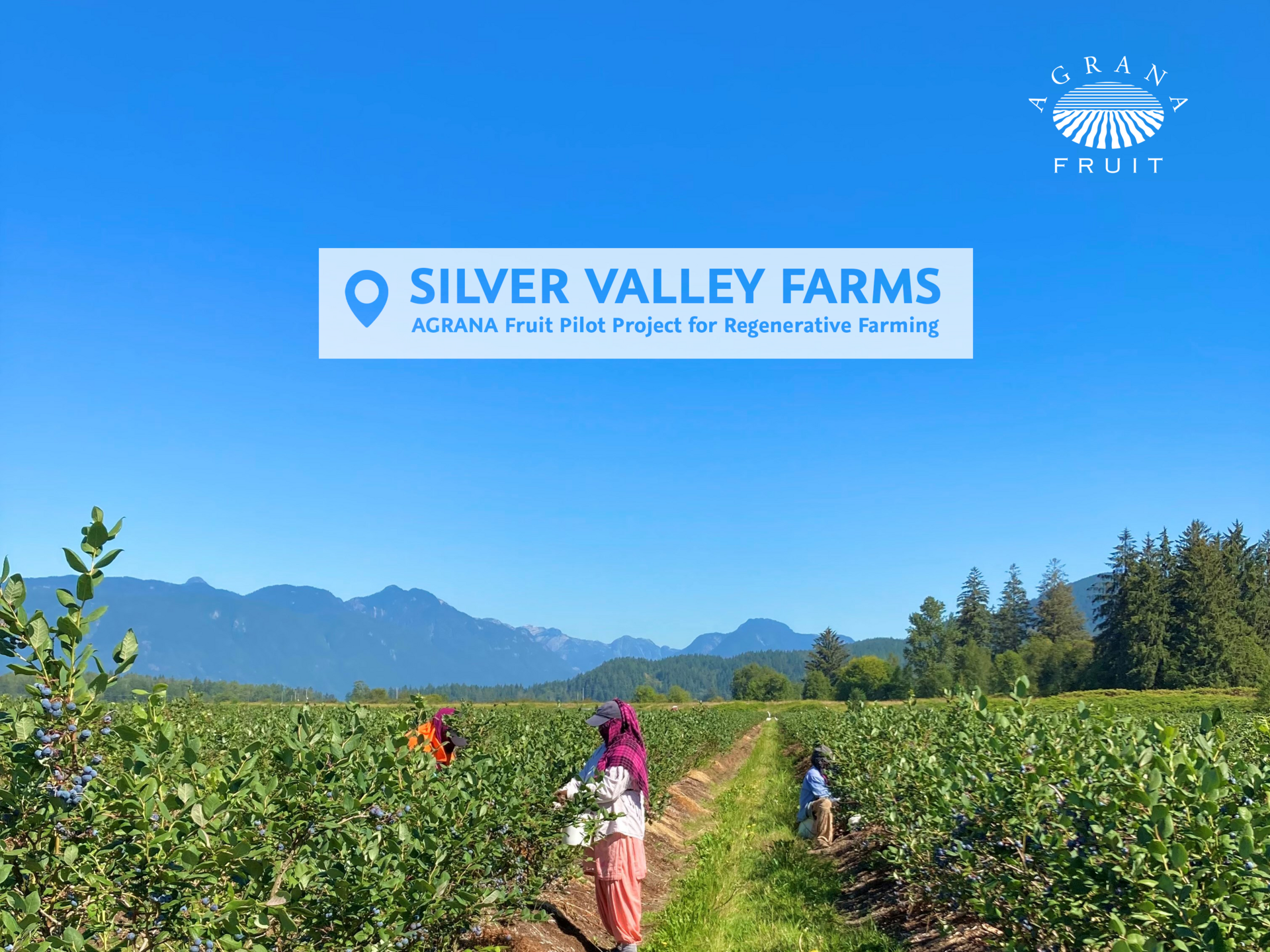 Silver Valley Farms - AGRANA Fruit Pilotprojekt für regenerativen Obstanbau