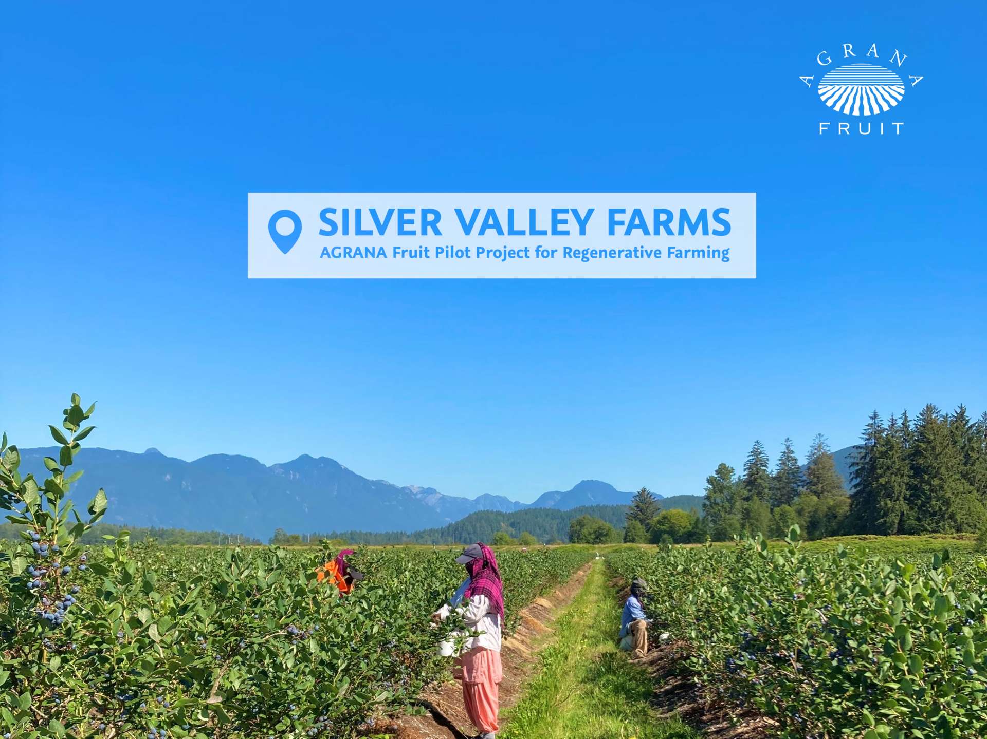 Silver valley farms- AGRANA Fruit Pilot Project for regenerative farming of fruits